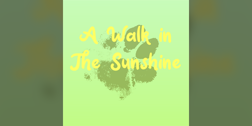 Cover image for A Walk In The Sunshine