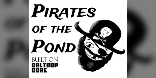 Cover image for Pirates of the Pond