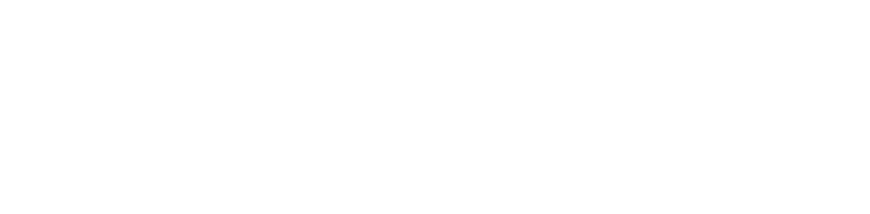 Mechaccountant