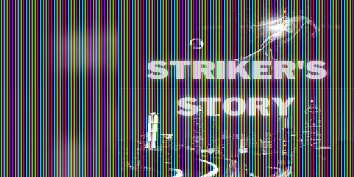 Cover image for Striker's Story
