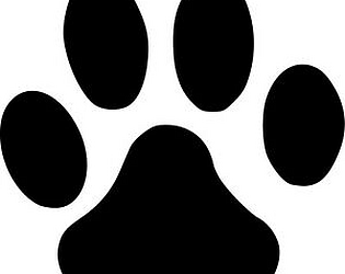 Cat World Studio