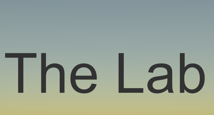 Cover image for The Lab WIP