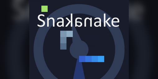 Cover image for Snakanake