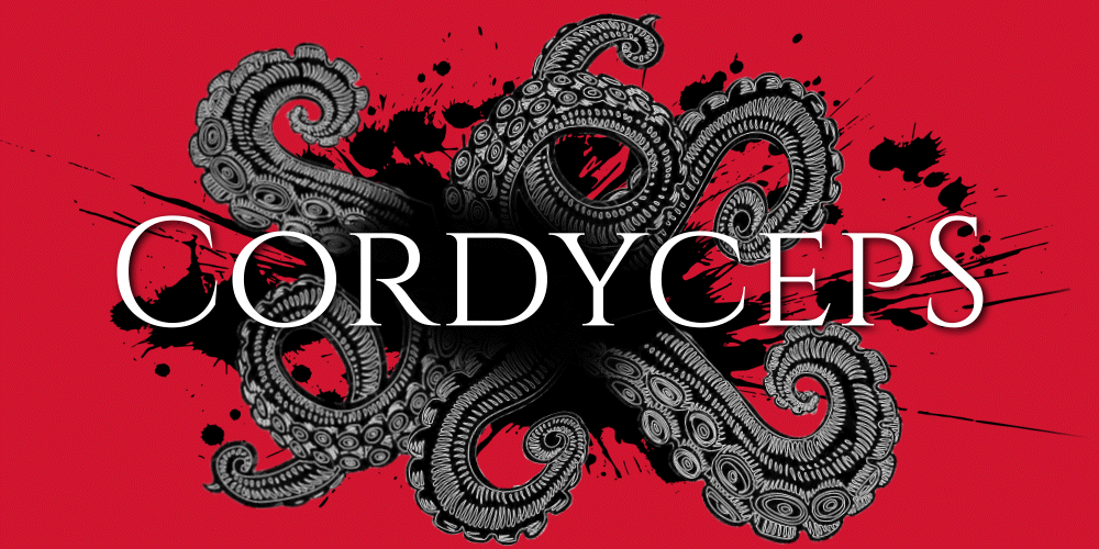 Cordyceps