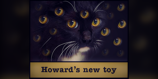 Cover image for Howard's new toy