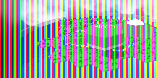 Cover image for Bloom - Intertwined Nature