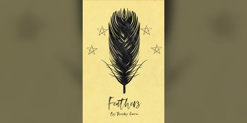 Cover image for Feathers