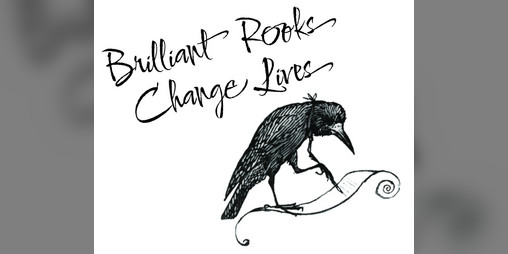 Cover image for Brilliant Rooks Change Lives