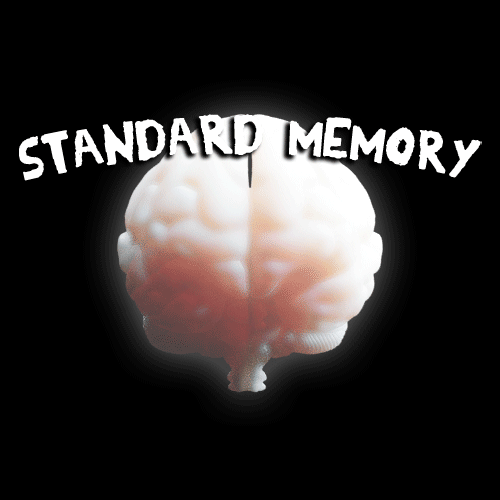 Cover image for Standard Memory