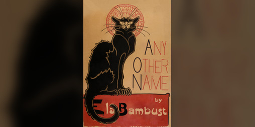 Cover image for Any Other Name