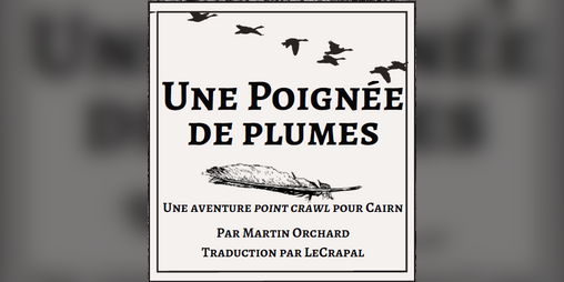 Cover image for Une poignée de plumes
