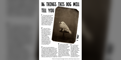 Cover image for D6 THINGS THIS DOG WILL TELL YOU