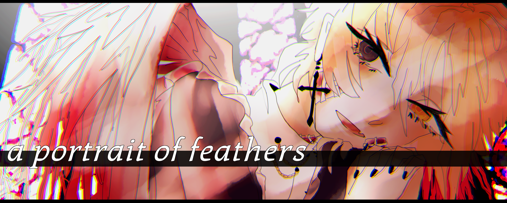 a portrait of feathers