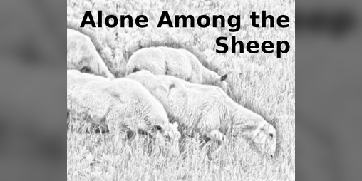 Cover image for Alone Among the Sheep