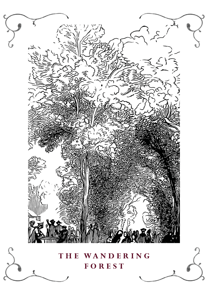 Cover image for The Wandering Forest
