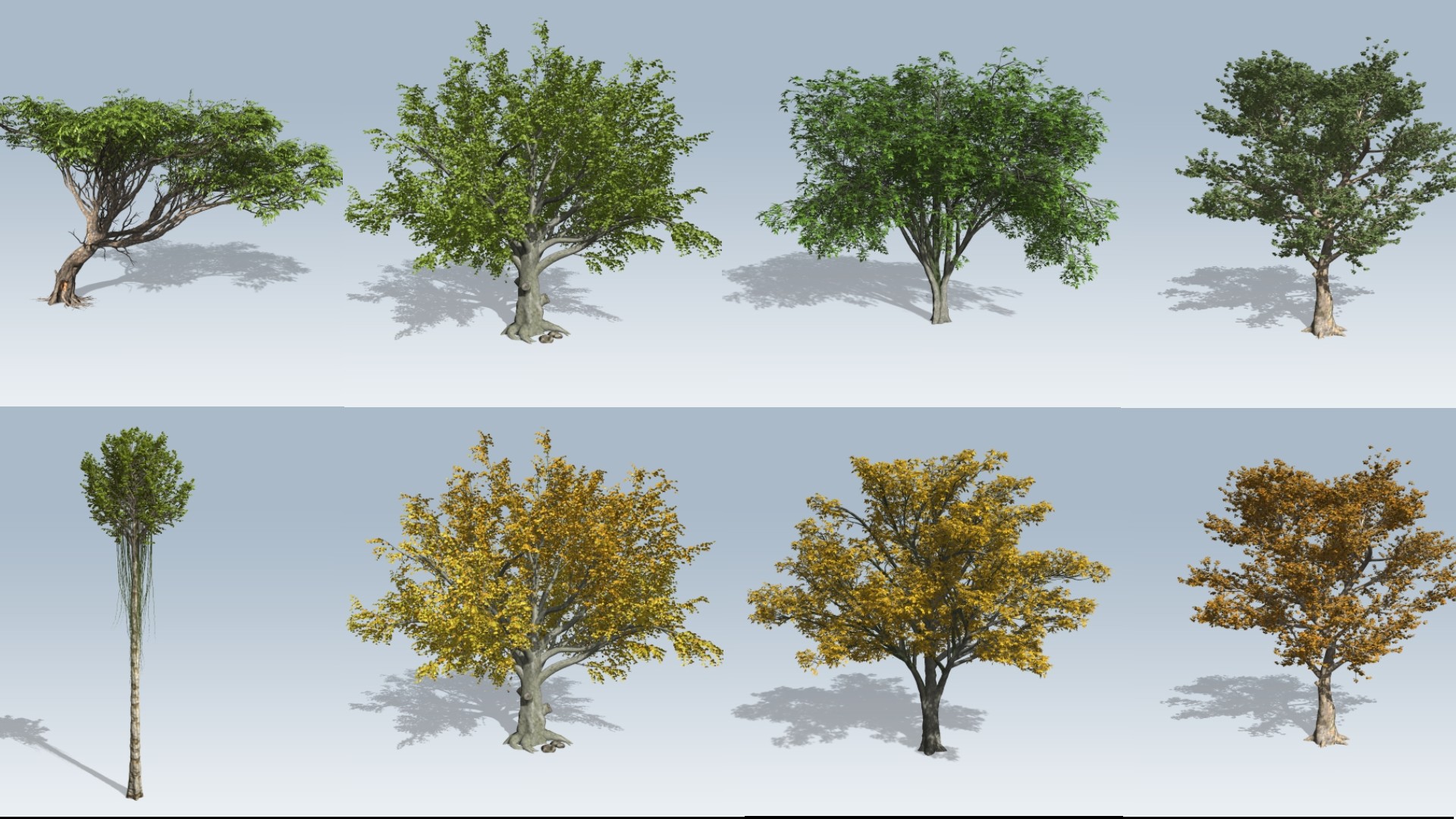 UEC Broadleaf Trees Pack 1 (SpeedTree Files)