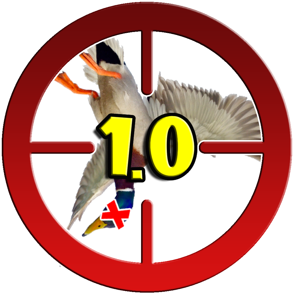 Duck Hunting - HD