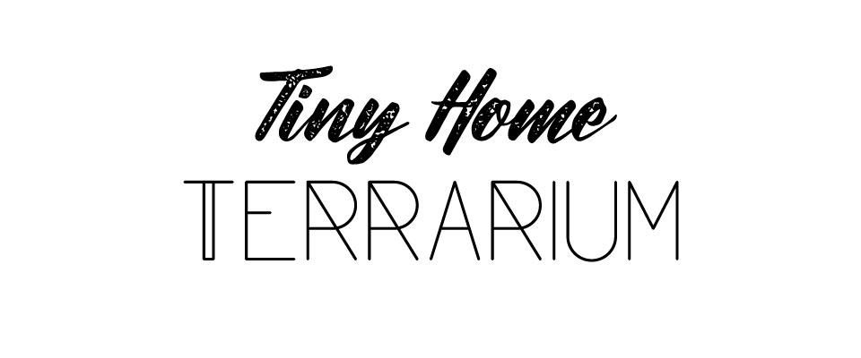 Tiny Home Terrarium