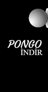 Pongo