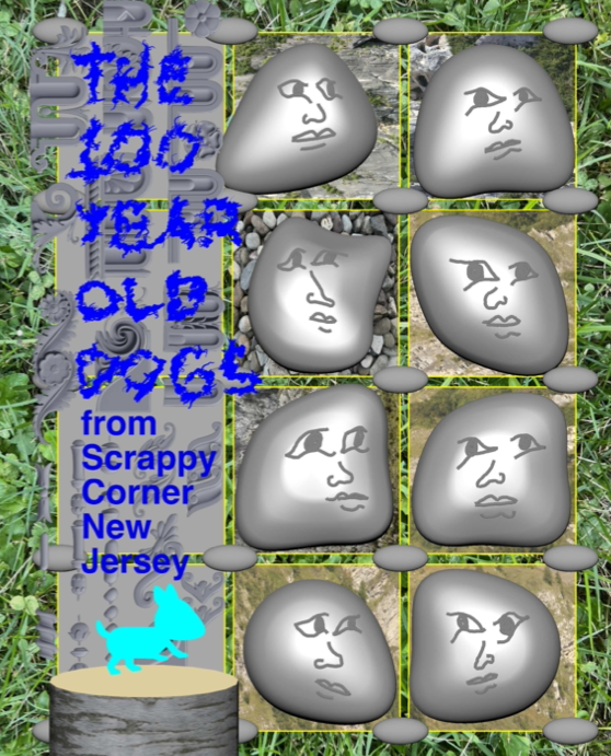 Cover image for The 100 Year Old Dogs