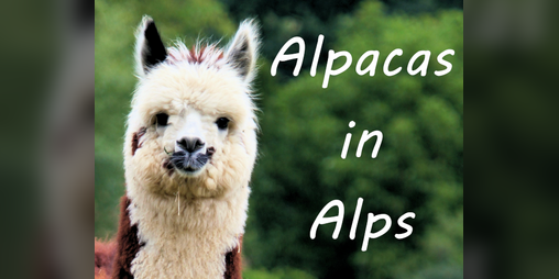 Cover image for Alpacas in Alps