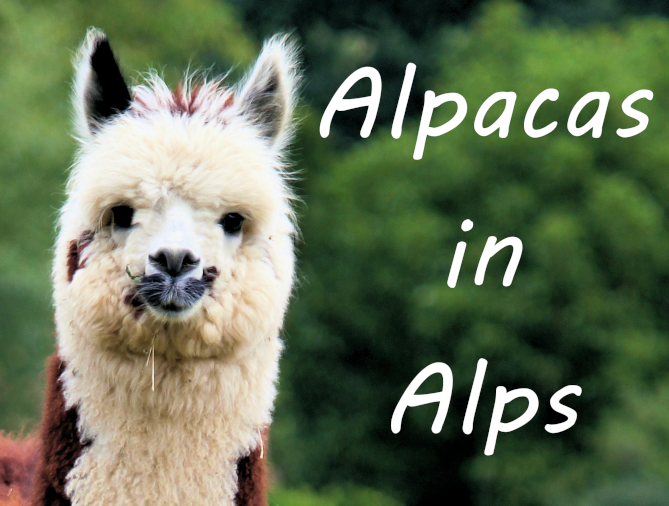 Cover image for Alpacas in Alps