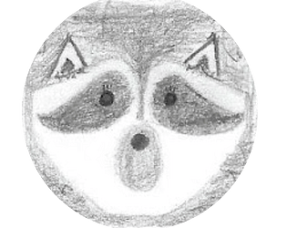 Raccoonundrum