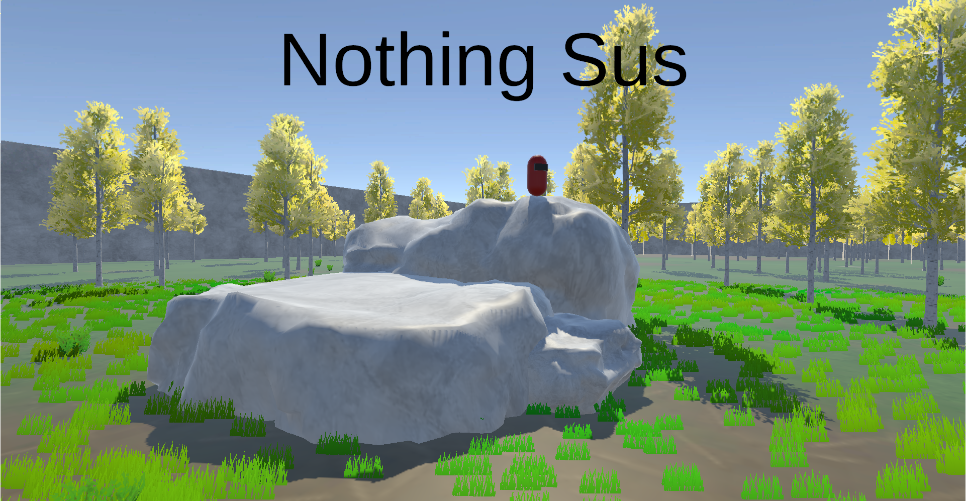 Nothing Sus