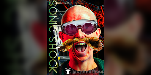 Cover image for Sonic Shock