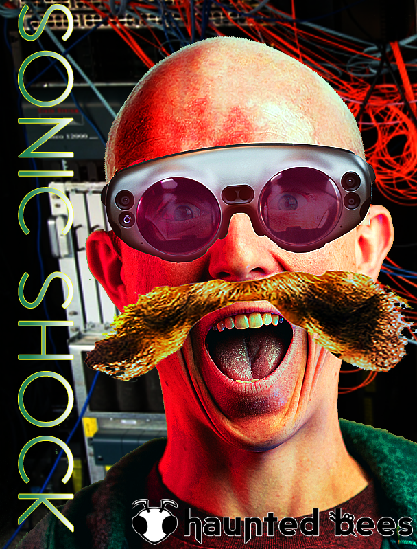 Cover image for Sonic Shock