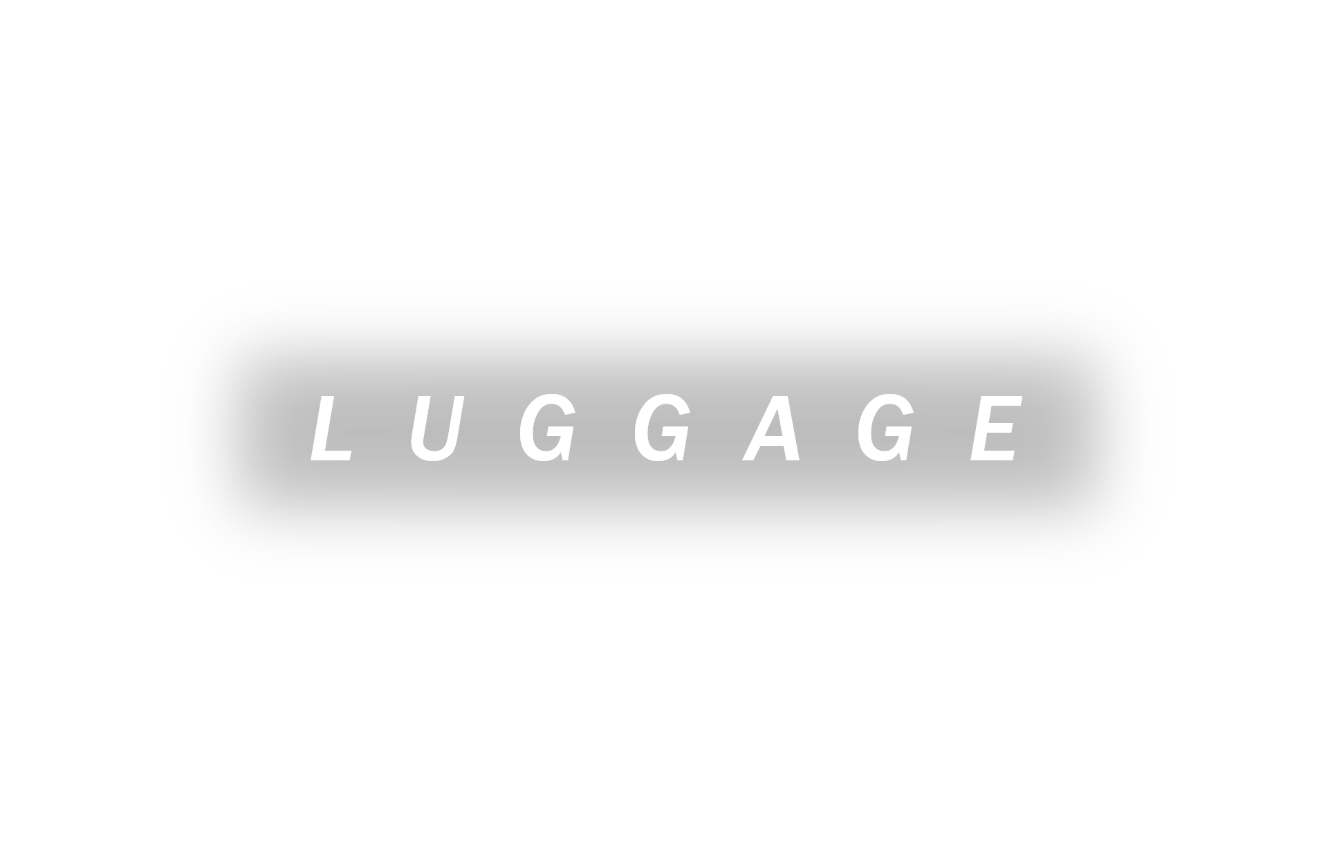 Luggage