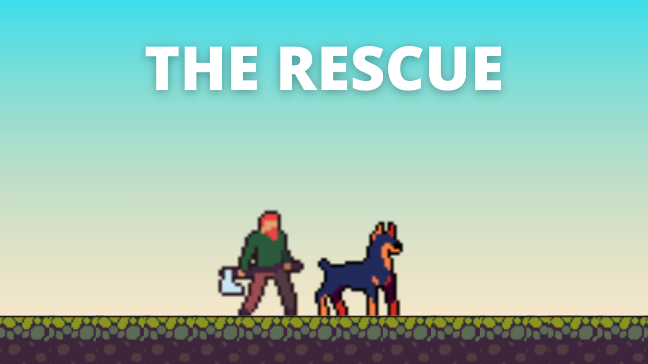 Cover image for The Rescue