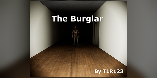 Cover image for The Burglar