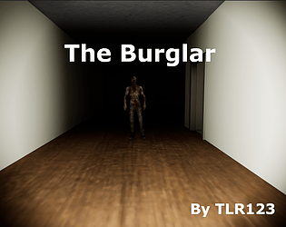 Cover image for The Burglar