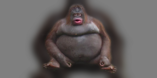 Cover image for return of monkey