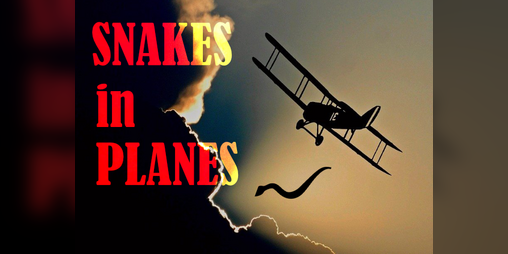 Cover image for Snakes in Planes