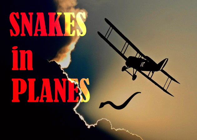 Cover image for Snakes in Planes