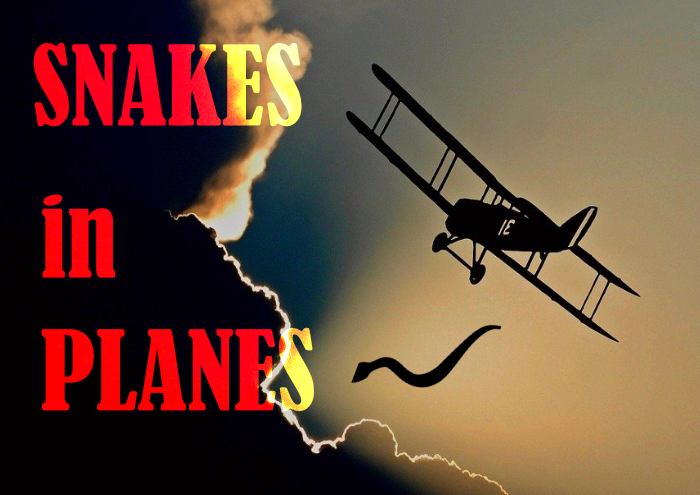 Snakes in Planes