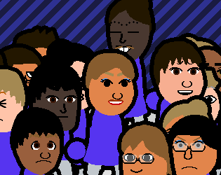 Cover image for The Mii Zone!