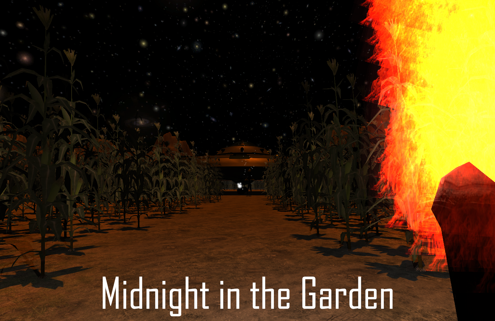 Midnight in the Garden