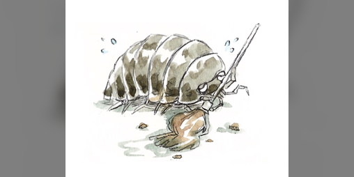 Cover image for I Don't Want To Clean This