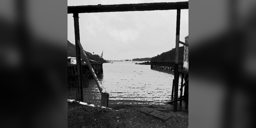 Cover image for Sog County