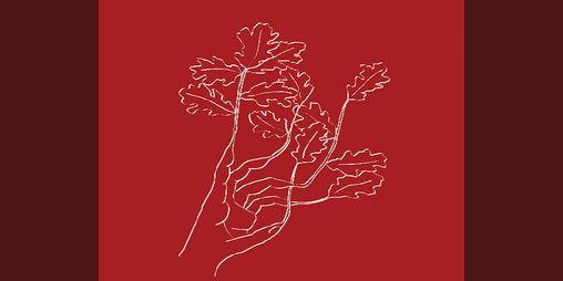 Cover image for The Book of Brushwood Lullabies