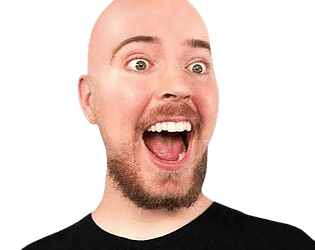 Mr Beast Game