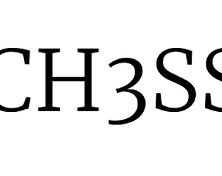 CH3SS