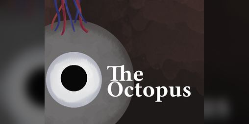 Cover image for The Octopus