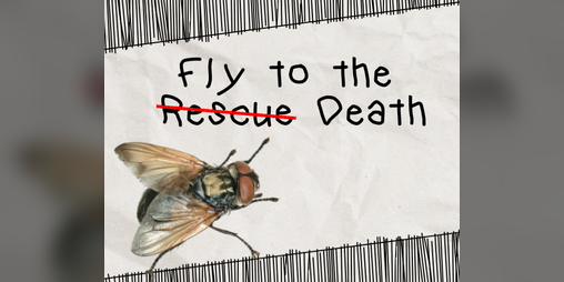 Cover image for Fly to the R̶e̶s̶c̶u̶e Death
