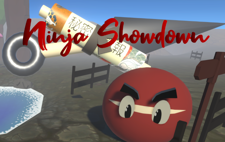 Cover image for Ninja Showdown