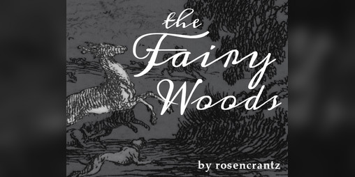Cover image for The Fairy Woods