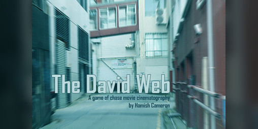 Cover image for The David Web